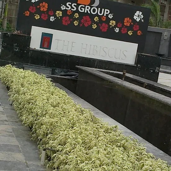 farmhouse gardening services delhi