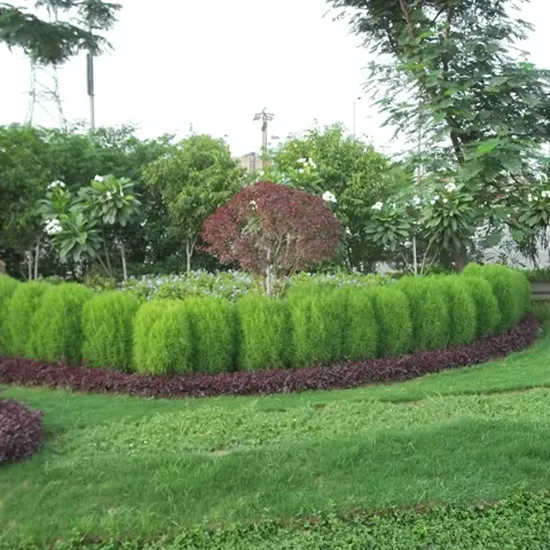 commercial landscape companies in delhi