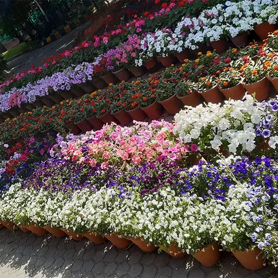 flower garden companies