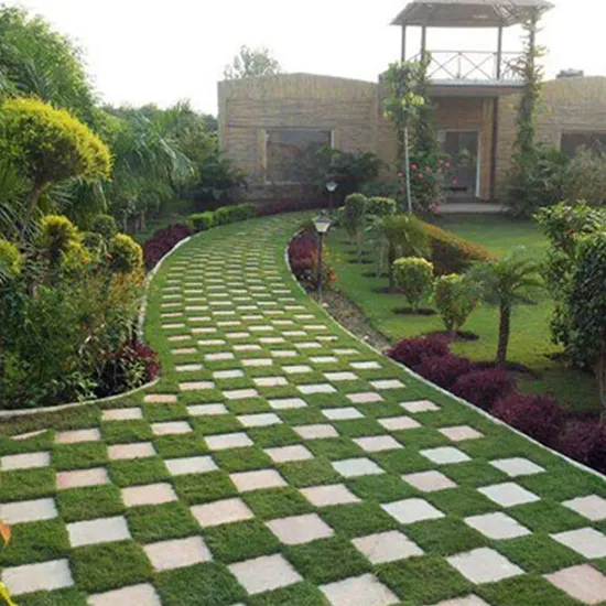 Plants Supplyers in delhi